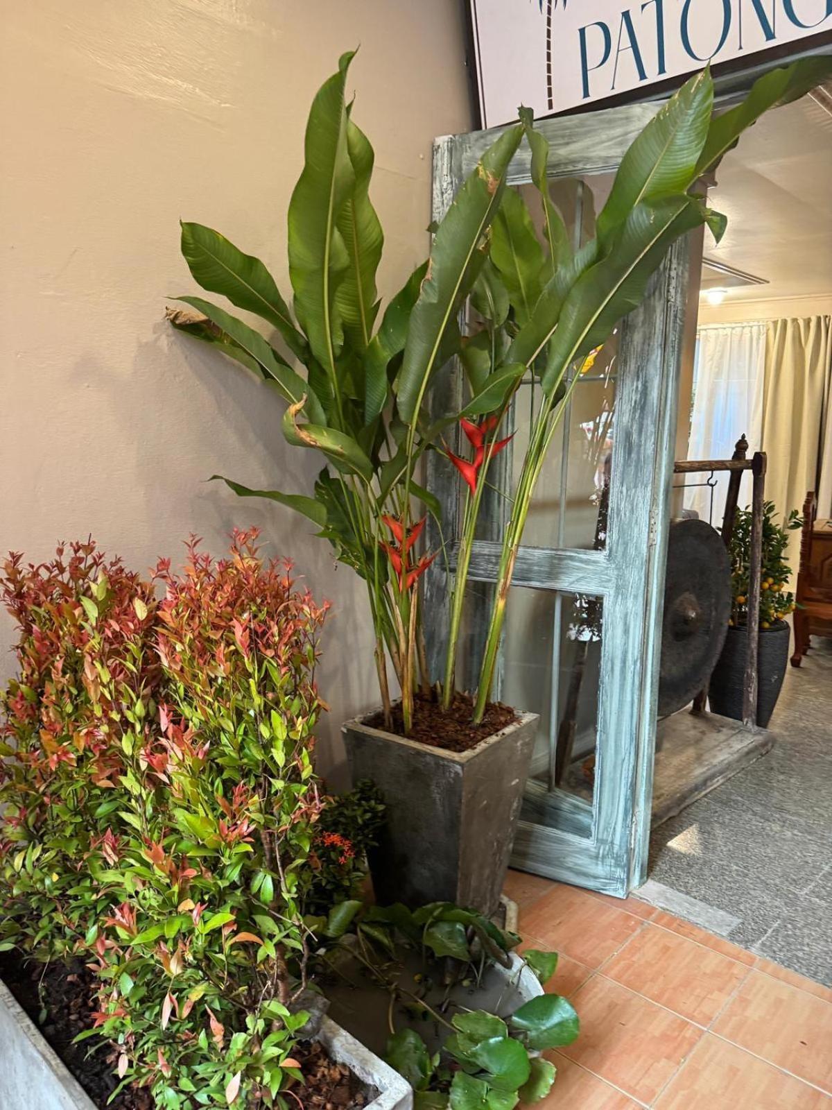 The Taksim Patong Beach Hotel מראה חיצוני תמונה